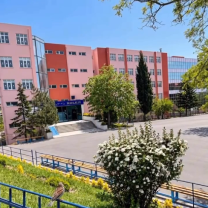 Anne sevgisi, bir çocuğun ilk güven duygusudur. 🤍